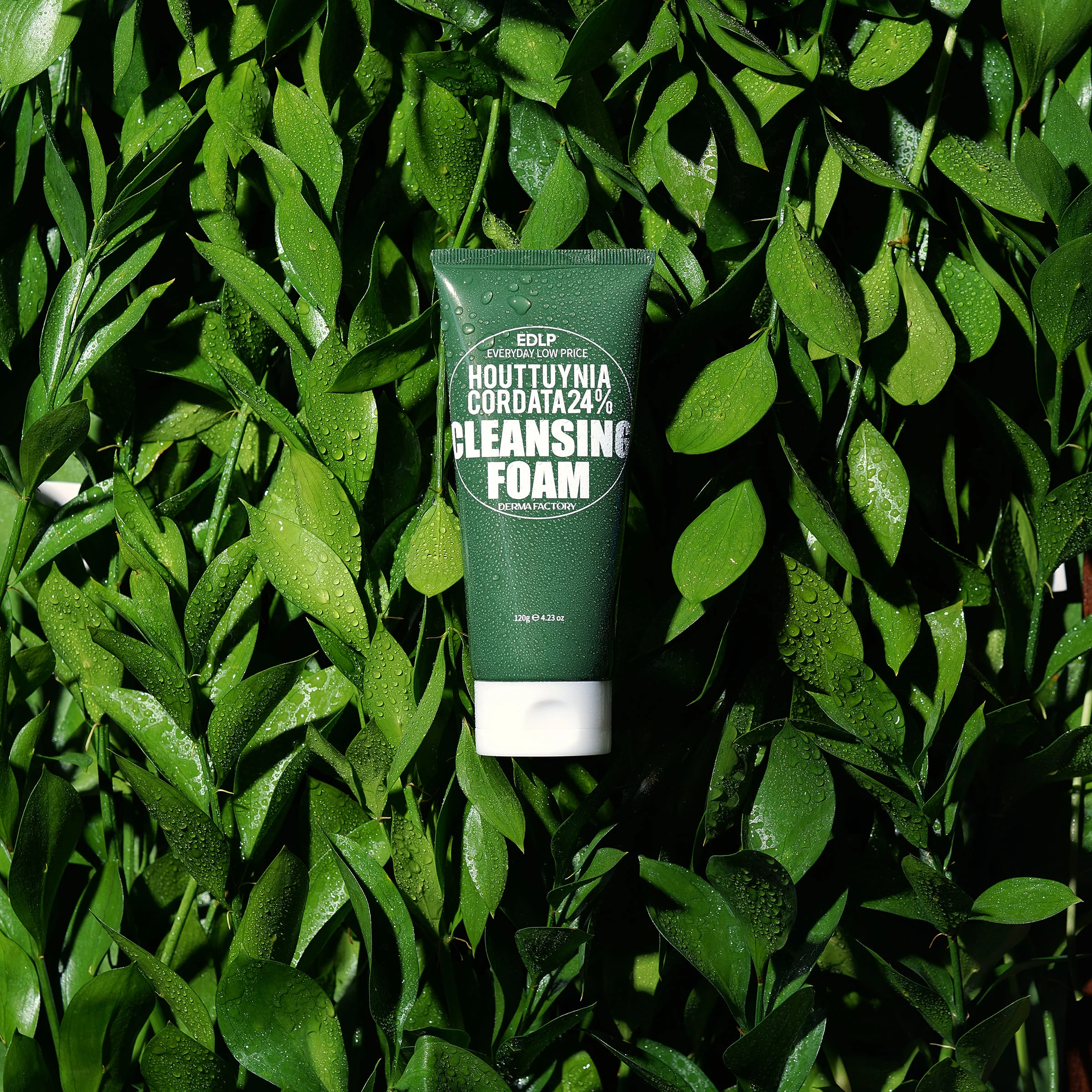 Derma Factory EDLP Houttuynia Cordata 24% Cleansing Foam 120g - Image 3